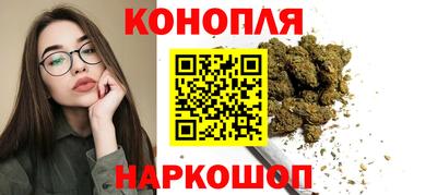 прущие крисы Новозыбков