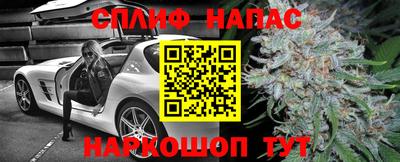 прущие крисы Новозыбков