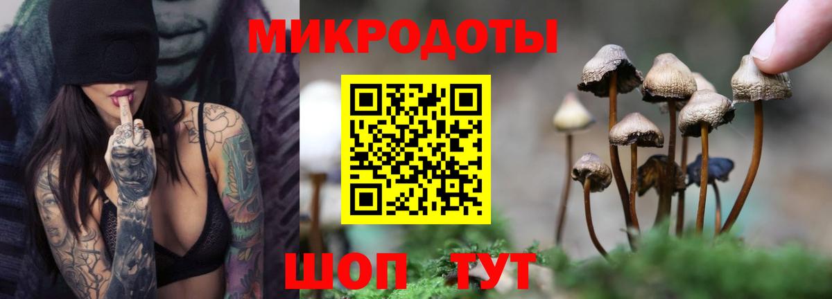 Псилоцибиновые грибы GOLDEN TEACHER  Вход с VPN  купить   Псилоцибиновые грибы мицелий  Ухта 